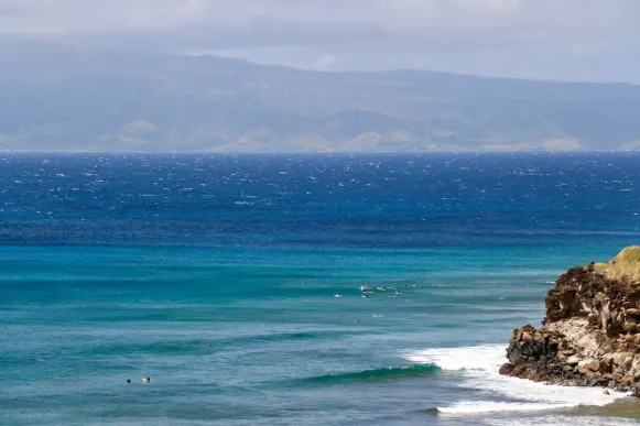 Casombie Casino Soporte